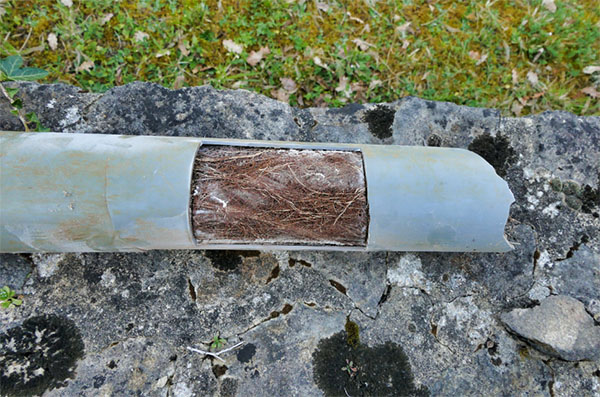 Root Blockage