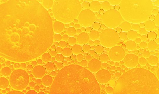 Professional Grease Blockage Removal in Southeast Wisconsin